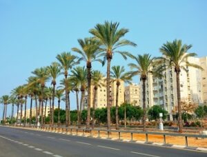 הריביירה הישראלית